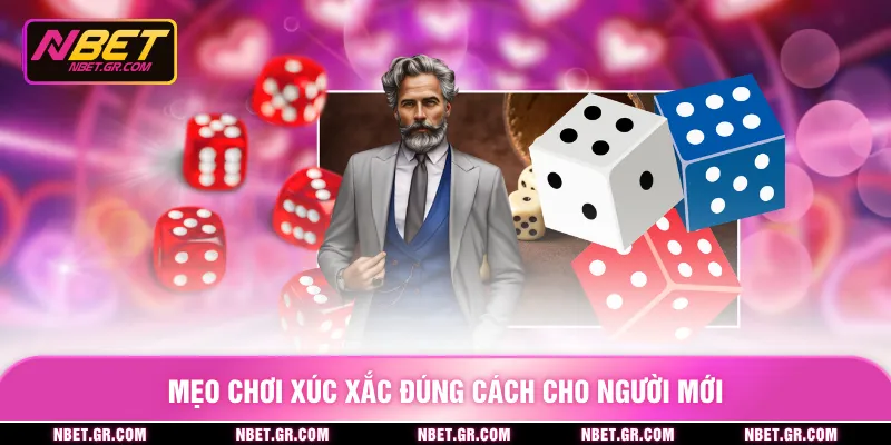 Mẹo chơi xúc xắc đúng cách cho người mới