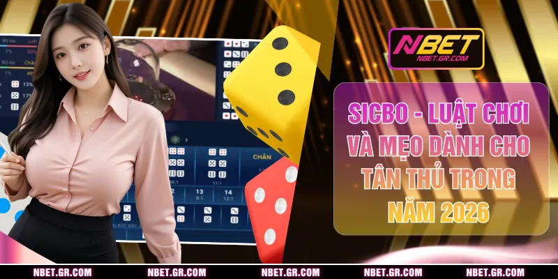 Sicbo - Luật Chơi Và Mẹo Dành Cho Tân Thủ Trong Năm 2026